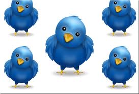 Twitter onderzoeksresultaten