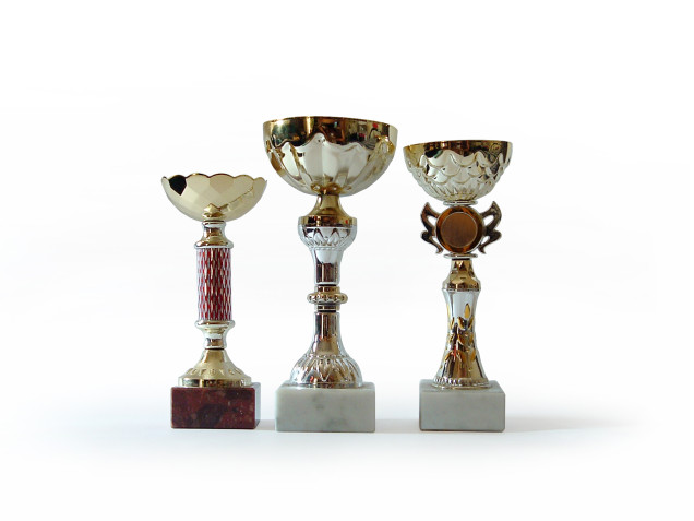 TYPO3 Certificering