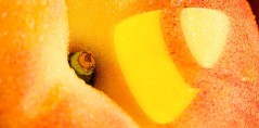 typo3 6.2 LTS