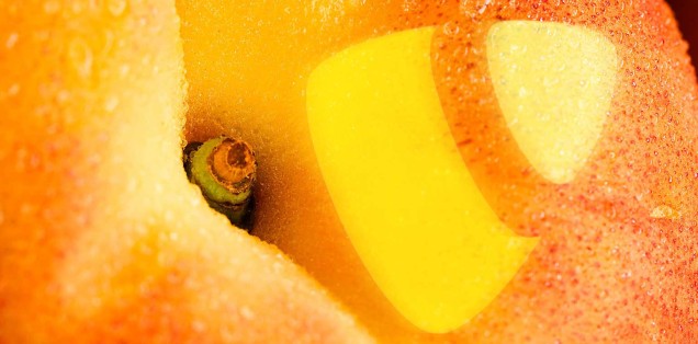 typo3 6.2 LTS