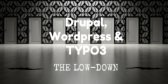 Banner Drupal Wordpress en TYPO3: the Low-Down
